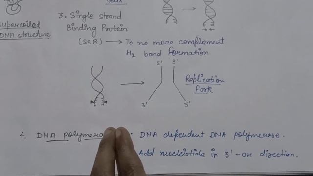 DNA REPLICATION | CLASS 12th | MOLECULAR BASIS OF INHERITANCE | BIO BEAKER.