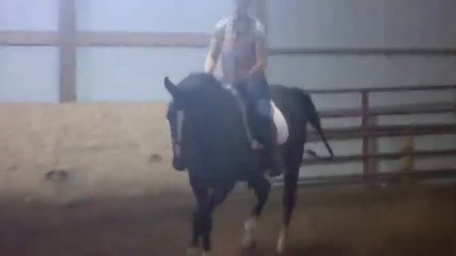 Wallstreet Future 30 days under saddle. смотреть онлайн