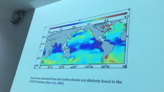 Dia 1 Curso Acidificación / @SiemePUJ смотреть онлайн