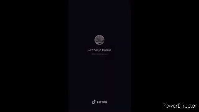 Цитаты волка из тик тока 2 часть смотреть онлайн