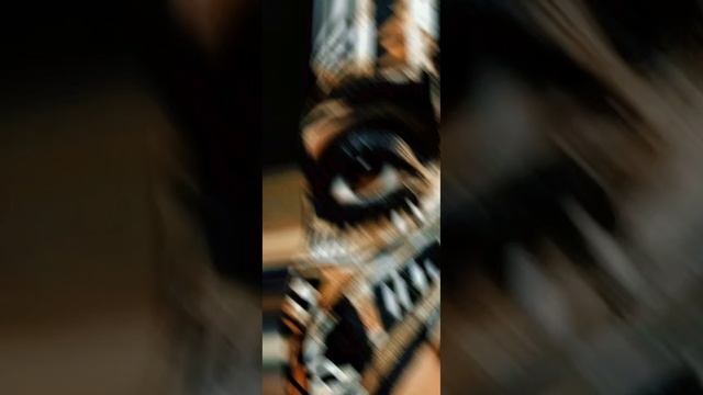 1000006928.mp4 смотреть онлайн