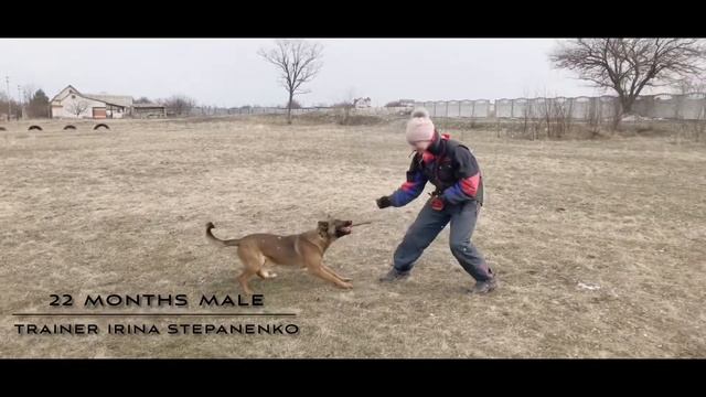 Training PH Yupp BRN 38420 смотреть онлайн