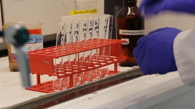 The effect of pH on the Invertase enzyme смотреть онлайн
