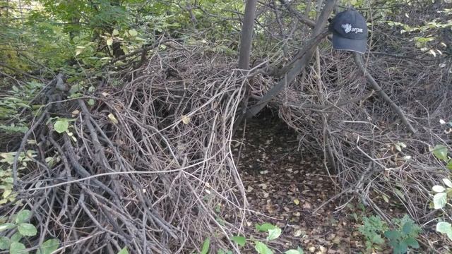 ЗАГОВОР ИСКУССТВА ИЗНАНКА ПОСТИРОНИИ смотреть онлайн