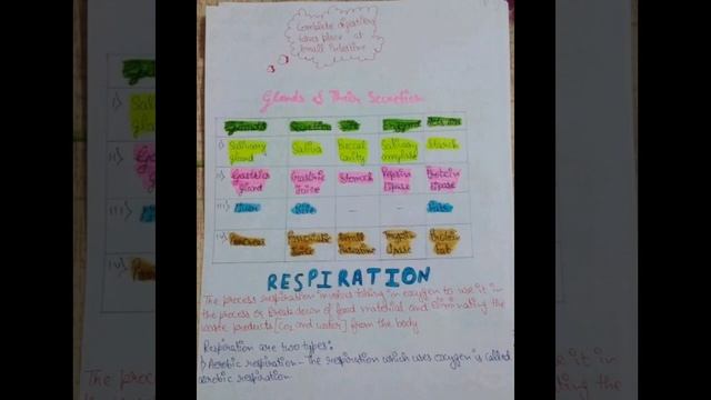 #LIFE PROCESSES Handwritten Notes || #cbse Class 10  Biology