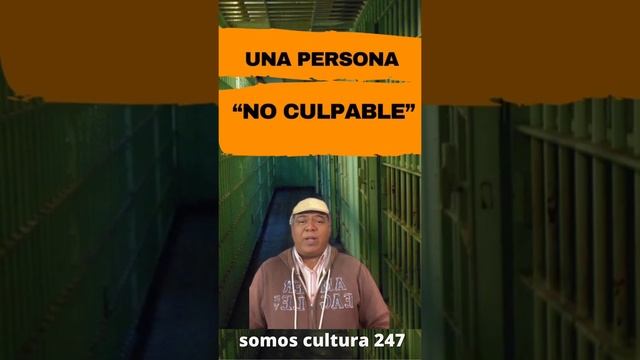 ¿Qué diferencia hay entre declarar a un acusado ‘inocente’ o ‘no culpable’? #inocente #noculpable смотреть онлайн