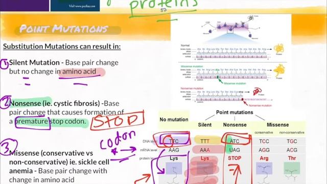 Gene Mutations смотреть онлайн