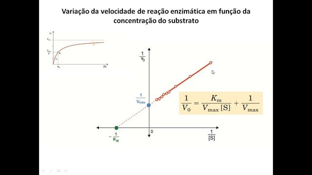 Aula11 ACH5542 - Enzimas - Parte 2 смотреть онлайн