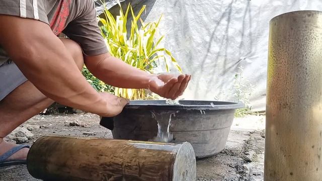 EASY WAY TO BEAUTIFY A COCONUT BONSAI | Bonsai Zone PH смотреть онлайн