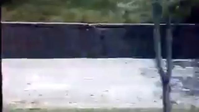 Бердянск. "Умные" надписи в центре города смотреть онлайн