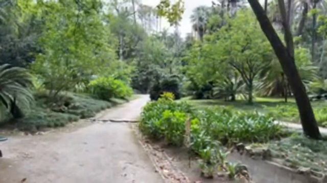 Jardim Botanica garden lisbon portogal смотреть онлайн