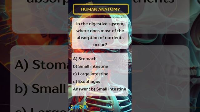 HUMAN ANATOMY AND PHYSIOLOGY -