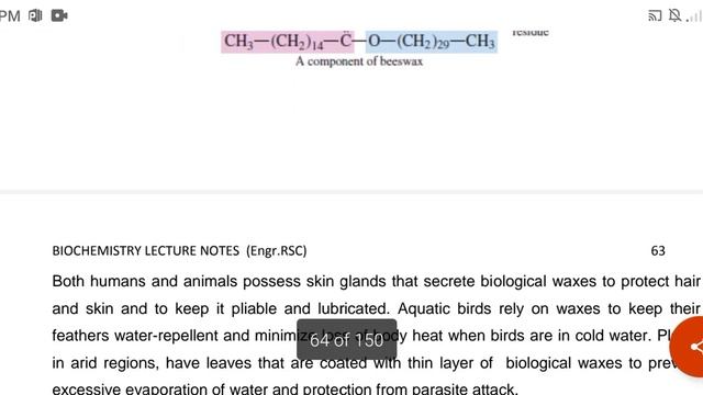 Protective coating lipids смотреть онлайн