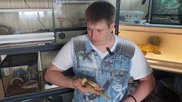 Побег змеи 🐍 из дома .  Что делать и  что нужно знать.