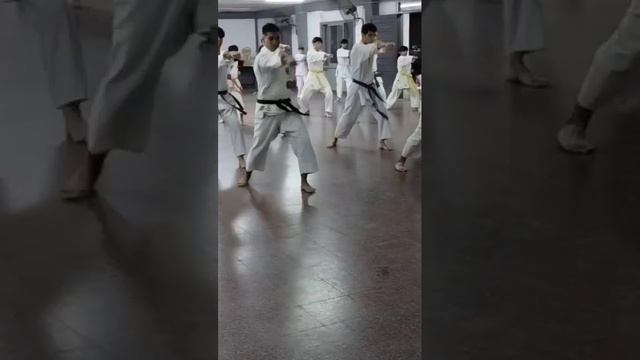 kihon kata shodan karate shorin ryu shiken Kai Chaco смотреть онлайн