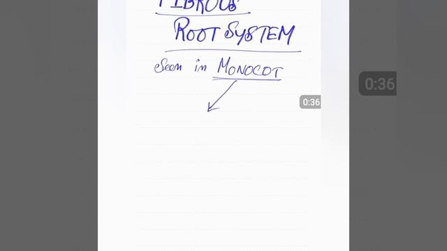 FIBROUS ROOT SYSTEM EXAMPLES смотреть онлайн