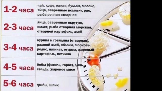 Сколько нужно времени для переваривания разной пищи смотреть онлайн