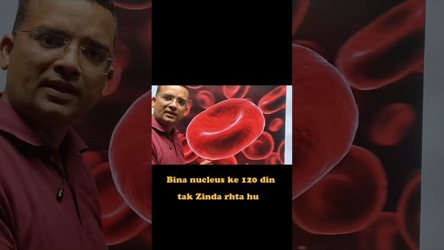 Kya aapko pata hai Human RBC kaise bina nucleus ke 120 din Zinda rhta hai???? смотреть онлайн