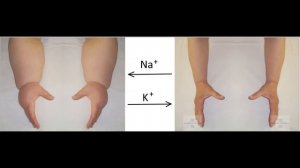 Лекарство от лени 2 Хроническая усталость Отёки Аспаркам #чудо #спасение