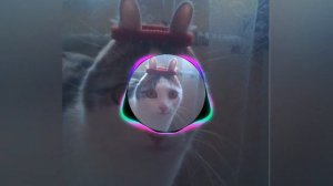 песня кожура