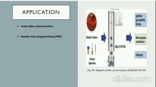 MALDI TOF Mass Spectrometry