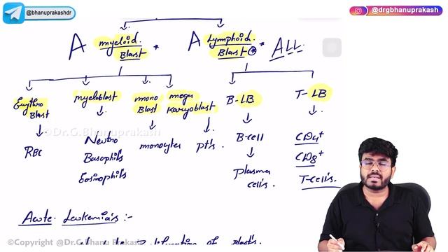 15. Acute Lymphoblastic Leukemia (ALL) | USMLE Step 1 Pathology смотреть онлайн