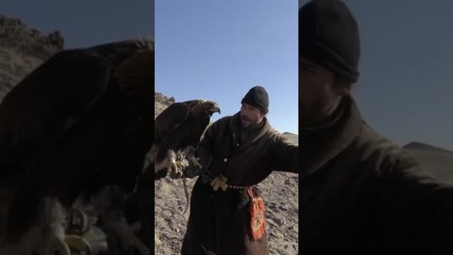 How To Command An Eagle To Attack | Primal Survivor #short смотреть онлайн