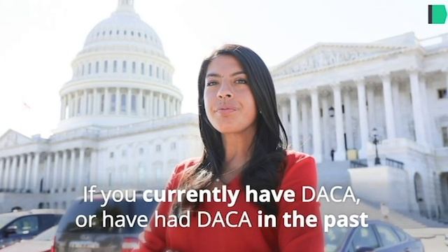 Renew Your DACA смотреть онлайн