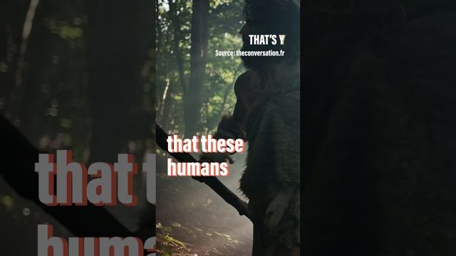 The mystery of the 300,000-year-old footprints смотреть онлайн