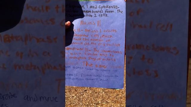 Meiosis - Jose and Acheanyi смотреть онлайн