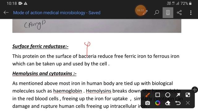 Iron uptake Mechanism of Bacteria explained смотреть онлайн