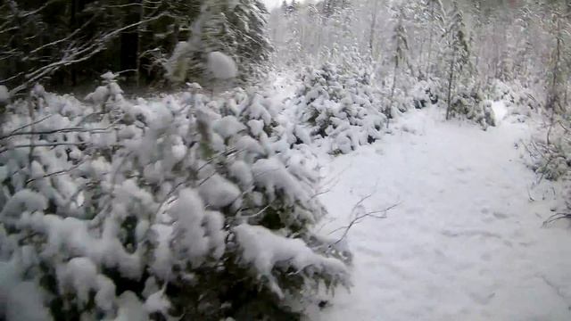 Сыктывкар "Тропа здоровья"_6 смотреть онлайн