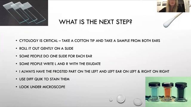 Approach to Canine Otitis Externa смотреть онлайн