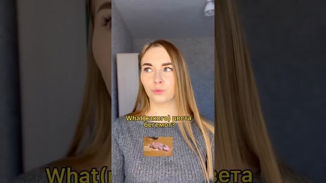 🇬🇧Вопросительные слова в английском быстро.🇺🇸Часть II смотреть онлайн