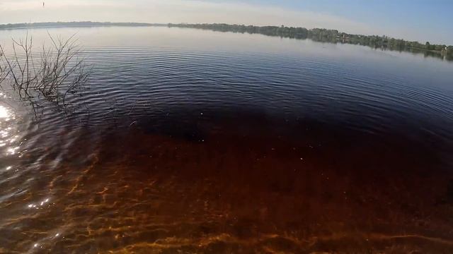 ЖЕРЕХ, ОКУНЬ і СУДАК - в студію! Що клює краще? смотреть онлайн