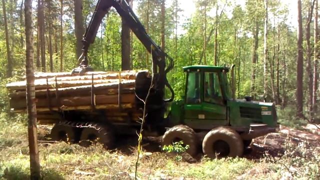 Защитников Сунского бора взбудоражил форвардер смотреть онлайн