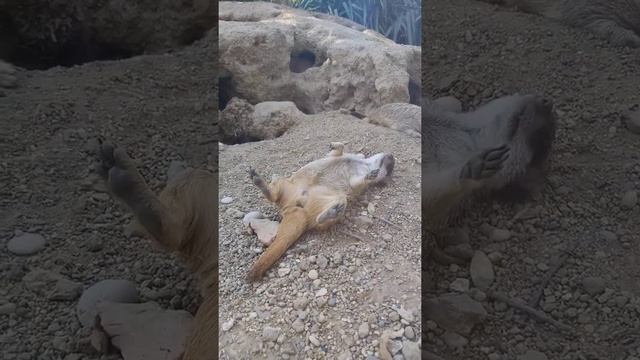 Що з ними?