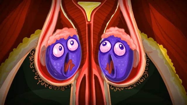 Organ Story смотреть онлайн
