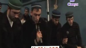Мавлид На аварском языке группа Салатавия