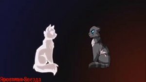 Коты-Воители Искра и Коршун - Я персона вип вип ( Заказ )