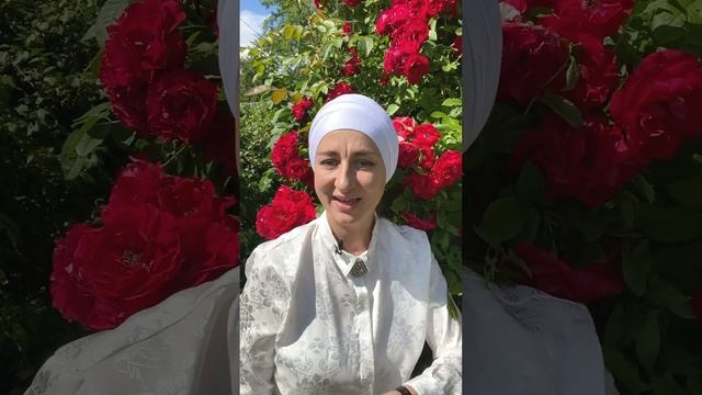 Арабский алфавит - в моих руках! смотреть онлайн