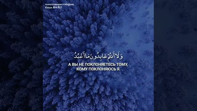 АЛЬ-КАФИРУН АЯТЫ 1-6 смотреть онлайн