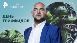 День триффидов — Как устроен мир с Тимофеем Баженовым (31.05.2024)