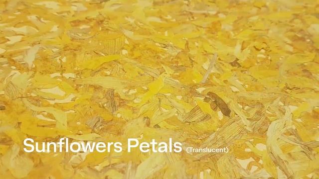 Organoid Natural Surfaces - 3 new surfaces added to the portfolio! 🌻 смотреть онлайн