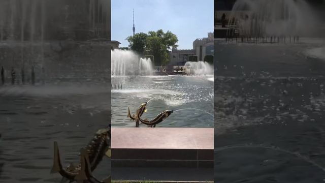 Москва, ВДНХ и лопата. #вднх #москва смотреть онлайн
