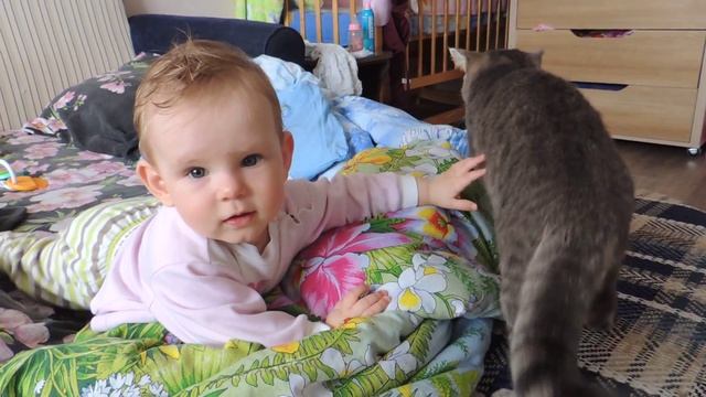 какой серый котик, тепленький животик (8мес) смотреть онлайн