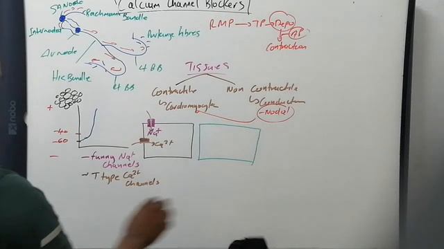 Antihypertensives//Calcium Channel Blockers//Part 2 смотреть онлайн