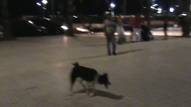 Хромой Диего смотреть онлайн