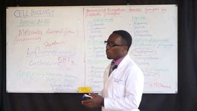 CELL BIOLOGY (PART 20) смотреть онлайн