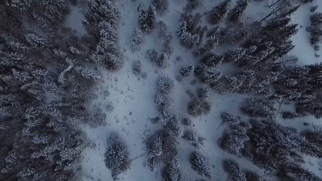 Зимняя сказка в весеннем Алтае 😍 смотреть онлайн